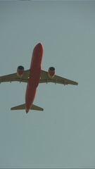 2645451