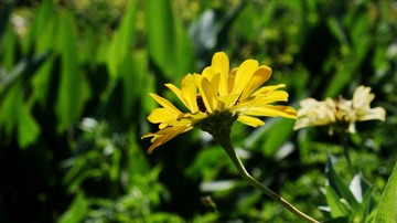 DSC02795