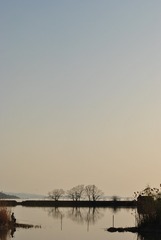 1000045258