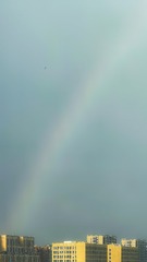 1003659552