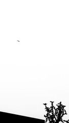 1003661045