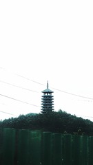1003661916