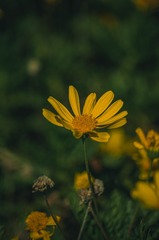 360437