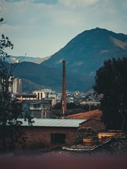356428
