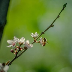 360438