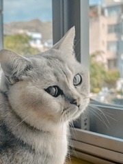 357146