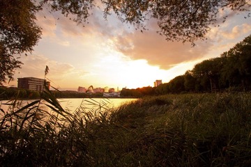 IMG_4842FF.jpg