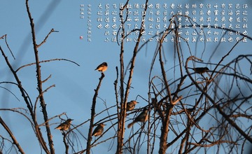 21917072-2A8D-4DDF-A2CA-F2932AE6E685/L0/001