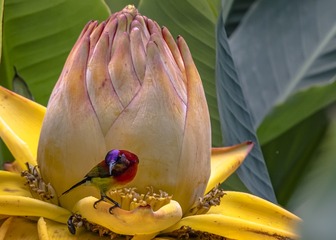 33350