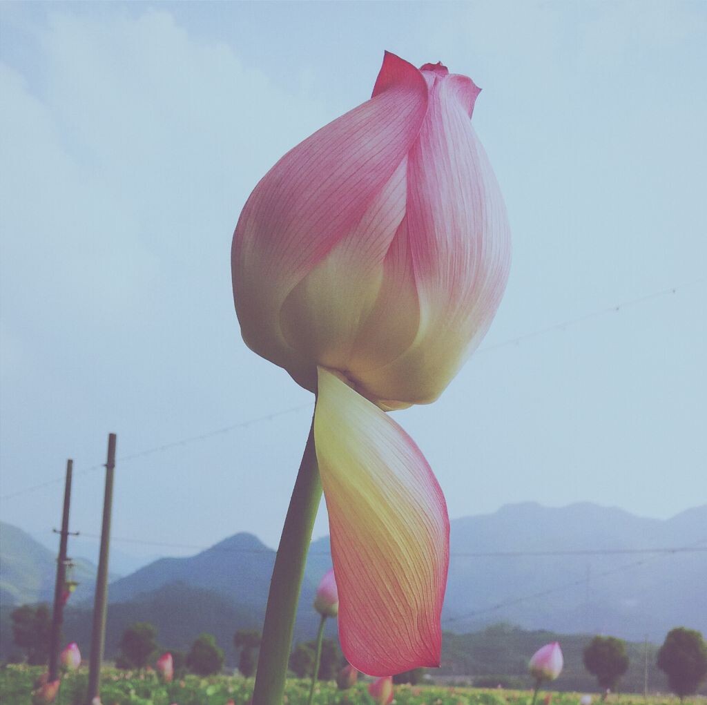 姿<br />
<br />
(vsco后期）