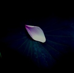 MA201407061708150061-03-001001000
