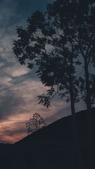 160564