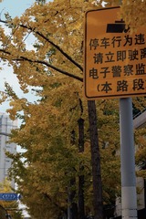 E3A62F83-B50E-4A31-B85B-3EA32EDDDB4C/L0/001