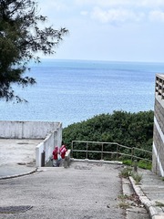 6D14C635-8934-49D4-8C56-CF07382216EA/L0/001