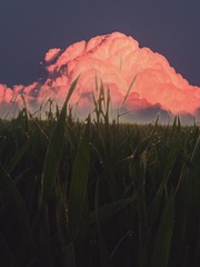11014