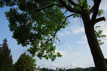IMGP1854.JPG