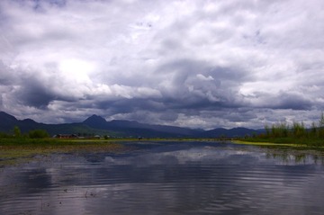 IMGP3372.JPG