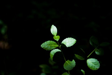 F3EB66C4-4340-4A7C-A266-3A9AA4E1D8E4/L0/001