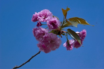 2EB9F2DE-4C80-4BFC-88EA-BCE4845F9D8A/L0/001