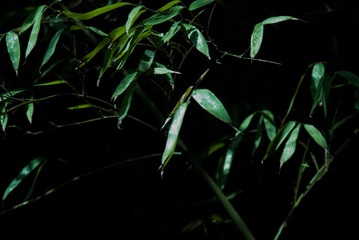 3316EC78-DD81-44C1-80B3-0F3D8F1DE047/L0/001