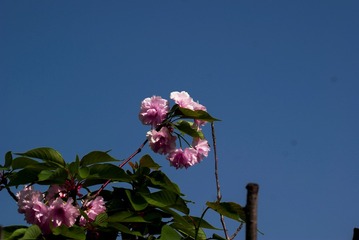 CC8464E0-A997-4935-8B5F-421680976EE4/L0/001