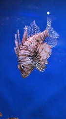 0D855750-100B-4465-BDFF-575C6E2D873C/L0/001