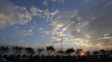 _MG_7908.JPG
