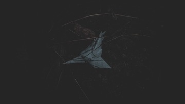 007367C0-DBDF-45AA-97DE-F0013FA92291/L0/001