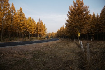 L1000744