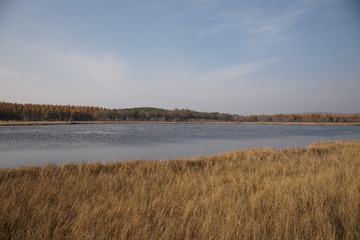 L1000712