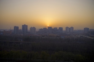L1003453