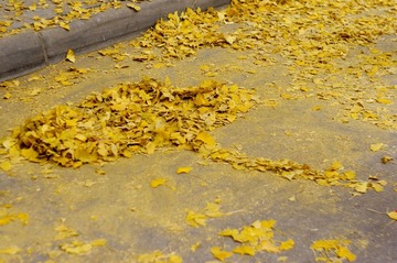 遇上宾友了，摆了个...