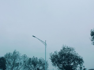 41064