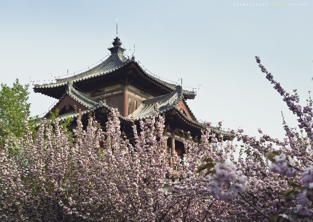 西安青龙寺<br />
