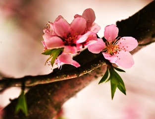 7DFE9545-5E45-4CF1-9E35-4B3475E5DDD0/L0/001