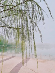 F0A22A6E-89AC-4364-B48F-50DA0E5B0A7E/L0/001