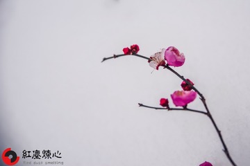 56B48149-E6AF-4DF5-9FDE-F486D8C1098A/L0/001