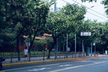 DE561E09-8115-46F6-8982-4399F886D309/L0/001