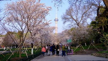 B43562F8-A5FE-4271-B077-CF8FC6148405/L0/001