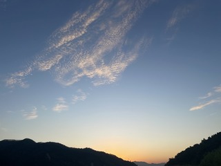 47C52F54-35CD-4DD1-86CB-59C6A6A261B6/L0/001