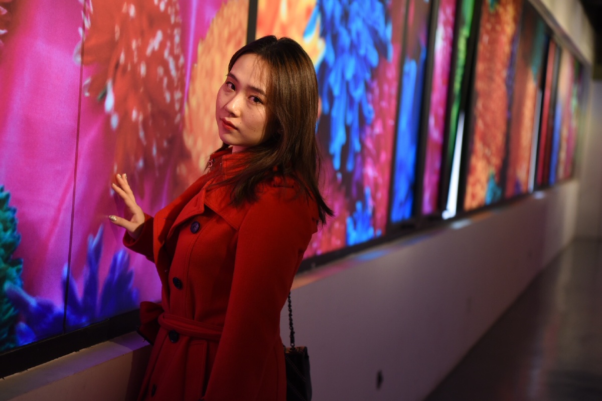 001 - 少侠李寻花 - 图虫摄影网