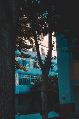57848