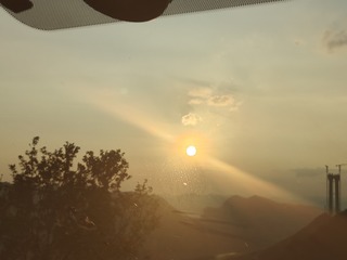 1000033515