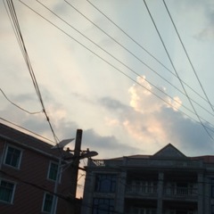 124081