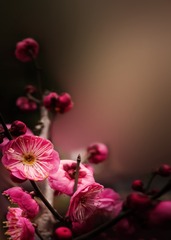0B00EA56-8AF4-4B90-A0F4-62FE9FB11B05/L0/001