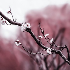 72B6D828-C892-40C7-9462-130FD0992EF9/L0/001