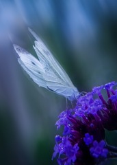 3D292A03-9A29-4F67-A6D8-E27EFB980658/L0/001