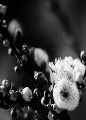 FE0637B5-99CD-4E42-8AD1-B56E04289954/L0/001
