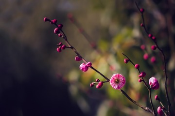 957700A1-15DB-44BE-A652-36BD1EE7BDA4/L0/001