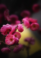 AD89E94E-CA9E-4C51-B34A-5F16850B3D32/L0/001